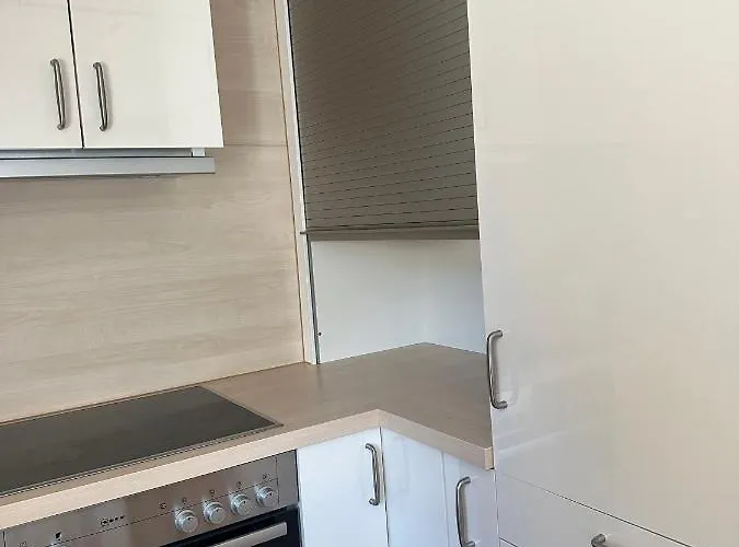 Rosaklein-30m2 & Rubinagross-100m2 Apartment Bludenz